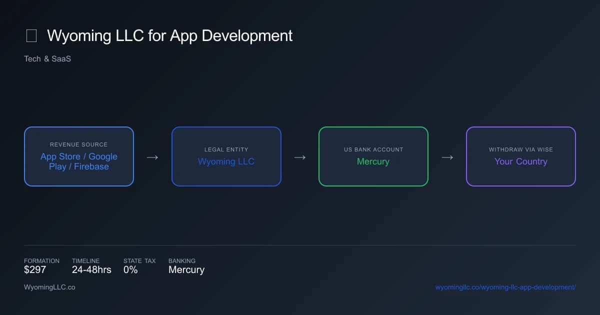 Wyoming LLC for app development - income flow diagram